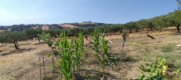 7 غرف نوم فيلا في Castel Frentano, Italy رقم 349347 46