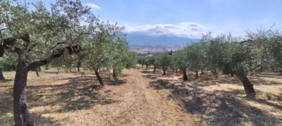 7 غرف نوم فيلا في Castel Frentano, Italy رقم 349347 39