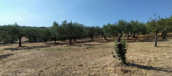 7 غرف نوم فيلا في Castel Frentano, Italy رقم 349347 43