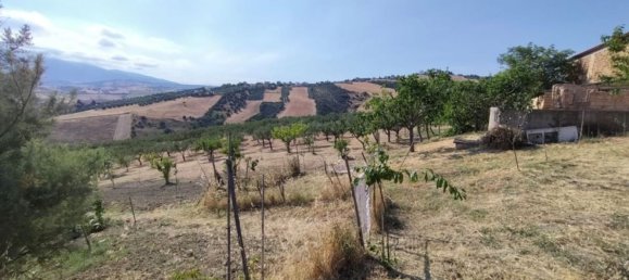 7 غرف نوم فيلا في Castel Frentano, Italy رقم 349347 41