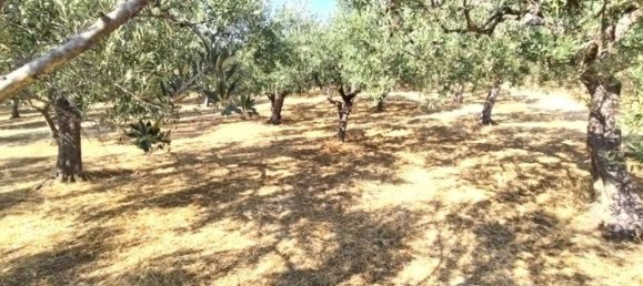 7 غرف نوم فيلا في Castel Frentano, Italy رقم 349347 47