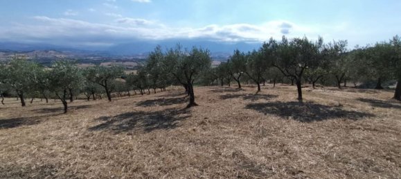 7 غرف نوم فيلا في Castel Frentano, Italy رقم 349347 44