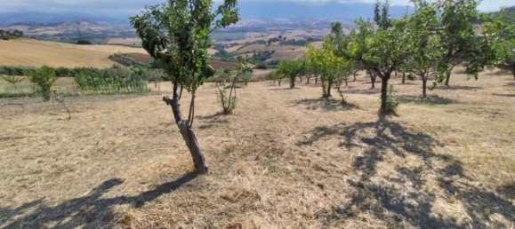 7 غرف نوم فيلا في Castel Frentano, Italy رقم 349347 49