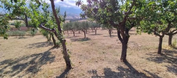 7 غرف نوم فيلا في Castel Frentano, Italy رقم 349347 45