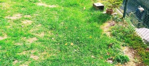 4 rooms Apartment in Ceppo Morelli, Italy No. 85279 38