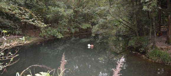 Casa T2 em Evelyn, Australia N.º 1159 15