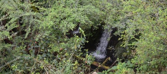 Casa T2 em Evelyn, Australia N.º 1159 14