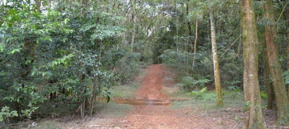 Casa T2 em Evelyn, Australia N.º 1159 17