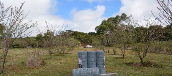 Casa T2 em Evelyn, Australia N.º 1159 5