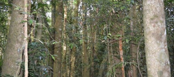 Casa T2 em Evelyn, Australia N.º 1159 12