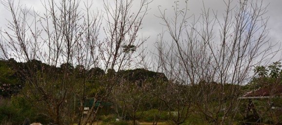 Casa T2 em Evelyn, Australia N.º 1159 7