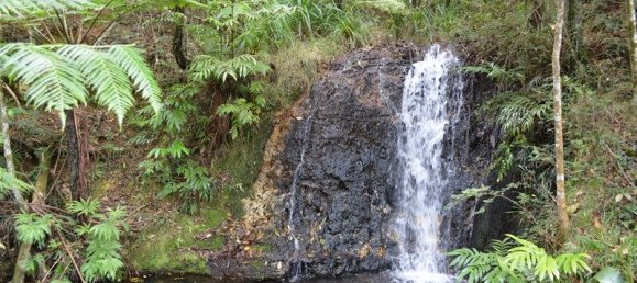 Casa T2 em Evelyn, Australia N.º 1159 6