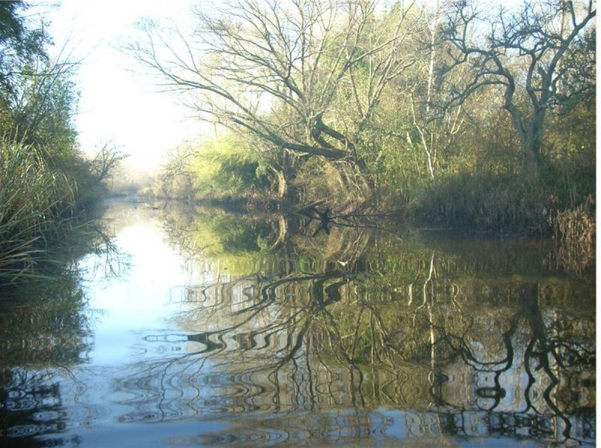  Land in Tigre, Argentina No. 115009