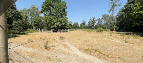 Casa de 5 dormitorios en Montigny-sur-Loing, France No. 191579 9