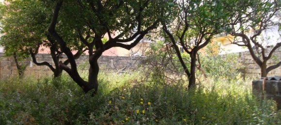 8 rooms Villa in Alezio, Italy No. 235602 20