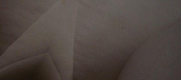 8 rooms Villa in Alezio, Italy No. 235602 7