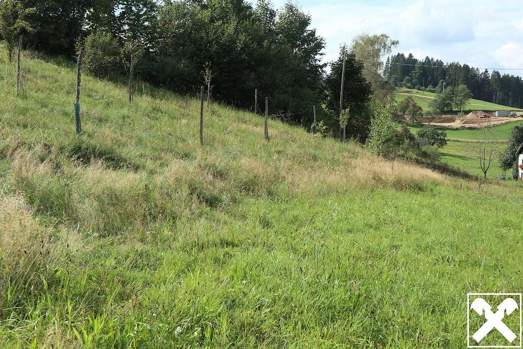  Land in St. Georgen am Walde, Austria No. 48727