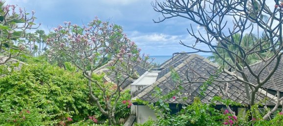 3 bedrooms Cafe / restaurant in Ko Samui, Thailand No. 6300 21