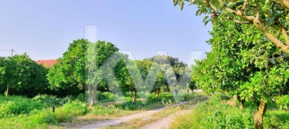 6 bedrooms Castles in Palmela, Portugal No. 71088 41