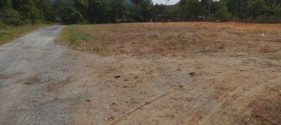  عقار تجاري في Mai Khao, Thailand 14070متر مربع رقم 12485 10