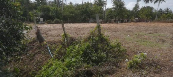  عقار تجاري في Mai Khao, Thailand 14070متر مربع رقم 12485 12