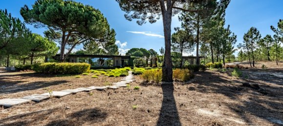 7 bedrooms Villa in Grandola, Portugal No. 113588 31