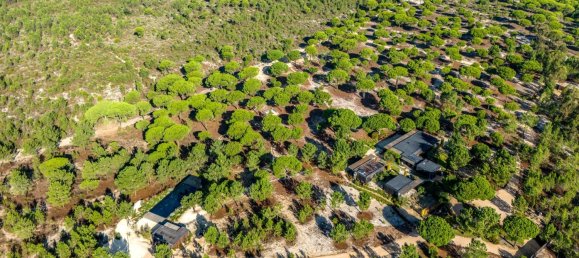 7 bedrooms Villa in Grandola, Portugal No. 113588 9