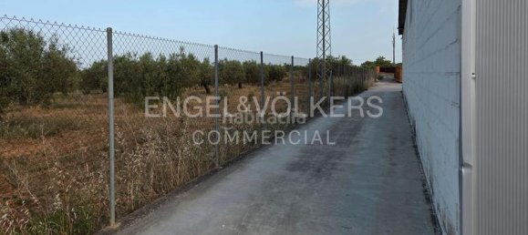 Lagerhaus in Barcelona, Spain 612m², Nr. 145025 9