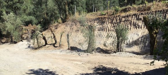 2 غرف نوم منزل في Celorico de Basto, Portugal رقم 37748 7