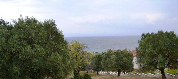 8404m² Hotel in Chalkidiki, Greece No. 6919 7