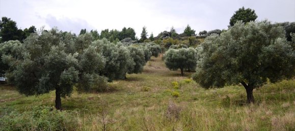 8404m² Hotel in Chalkidiki, Greece No. 6919 4