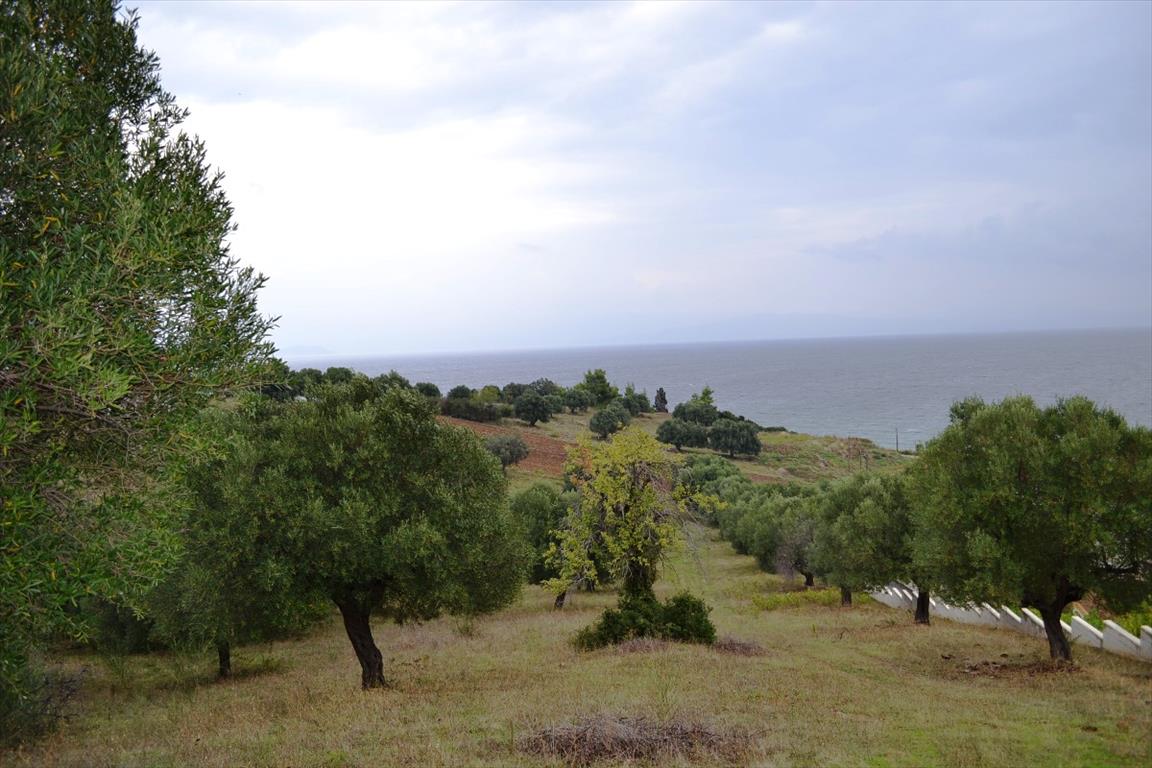 Hotel em Chalkidiki, Greece 8404 m² N.º 6919