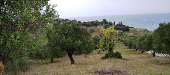 8404m² Hotel in Chalkidiki, Greece No. 6919 8