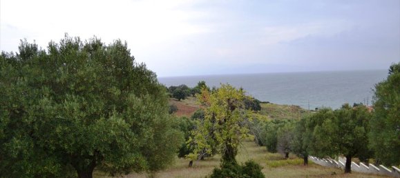 8404m² Hotel in Chalkidiki, Greece No. 6919 6