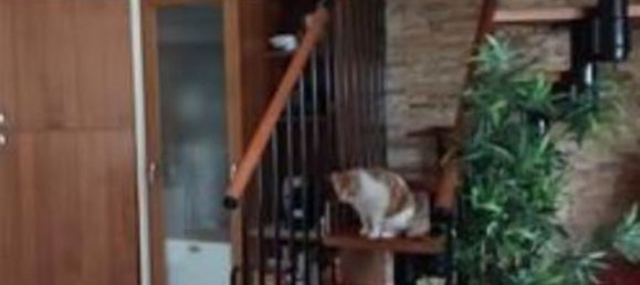 Квартира с 4 комнатами в Капонаго, Италия № 4093 9