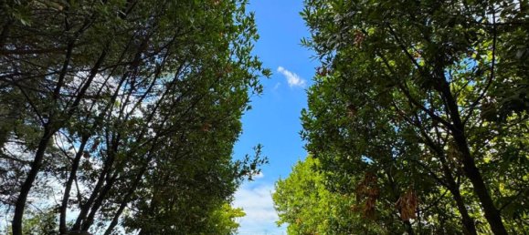 4 Schlafzimmer Haus in Monterubbiano, Italy, Nr. 291644 11