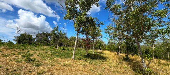 4 Schlafzimmer Haus in Monterubbiano, Italy, Nr. 291644 13