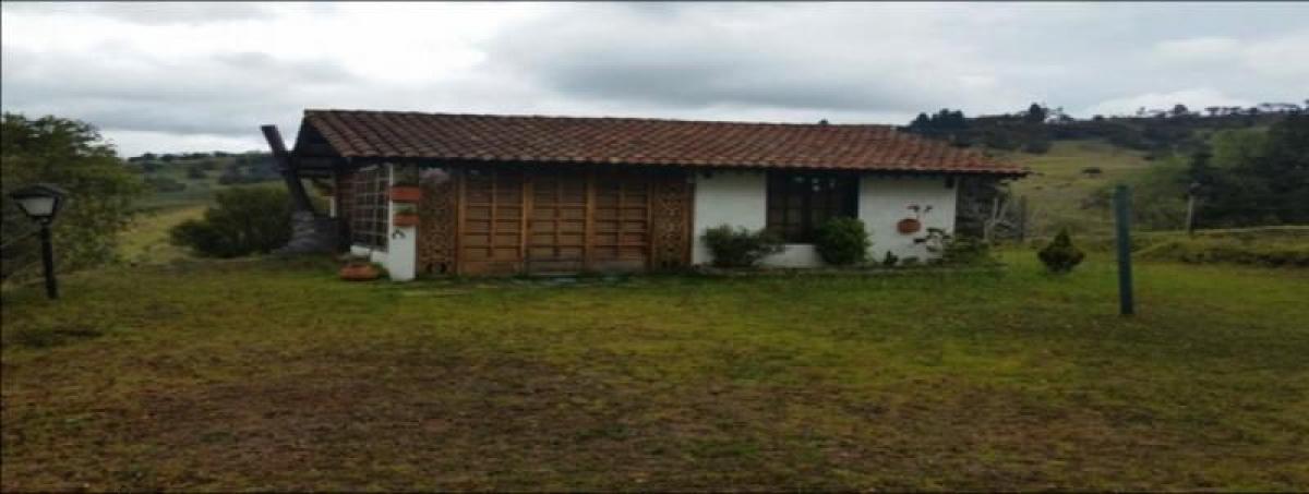 استوديو في Cundinamarca, Colombia رقم 5299