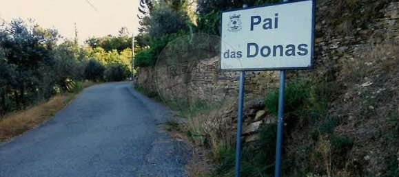 3 bedrooms House in Benfeita, Portugal No. 33328 6