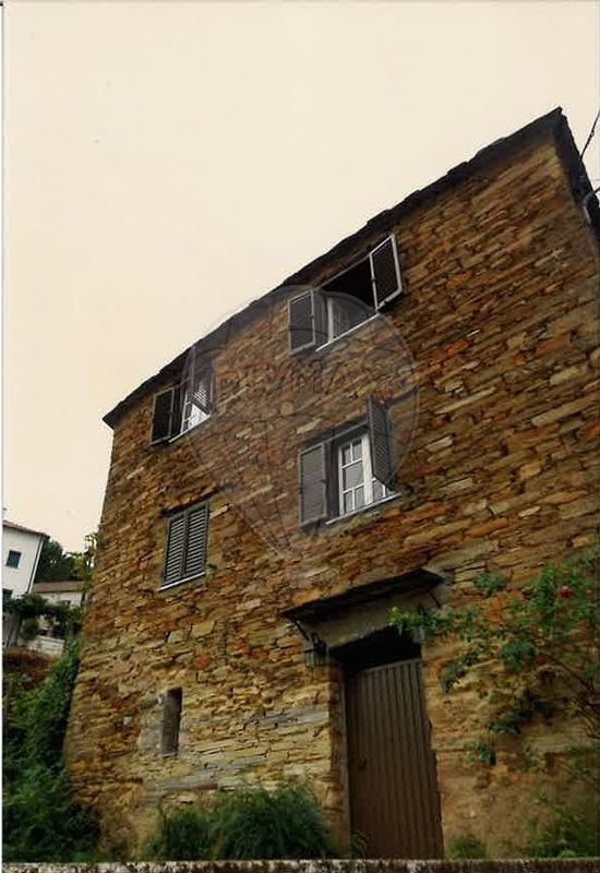 3 bedrooms House in Benfeita, Portugal No. 33328