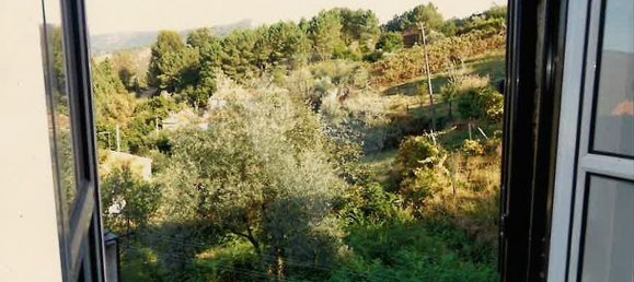 3 bedrooms House in Benfeita, Portugal No. 33328 3