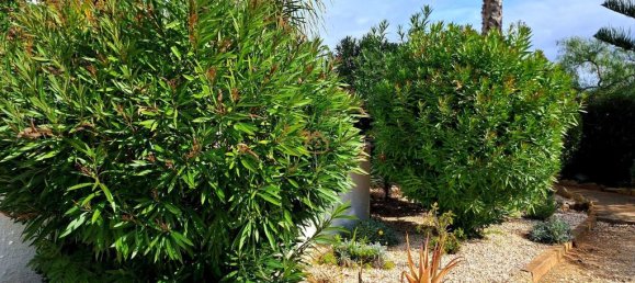 2 chambres Maison de ville à Luz, Portugal No. 97742 17