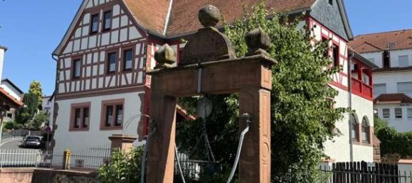 4 bedrooms House in Main-Kinzig, Germany No. 237927 2