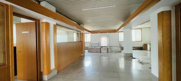 Коммерческая недвижимость 365м² в Удине, Италия № 71743 2