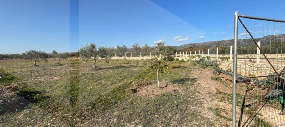 Terreno en San Giovanni Rotondo, Italy 3944 m² No. 25464 4