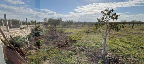 Terreno en San Giovanni Rotondo, Italy 3944 m² No. 25464 5