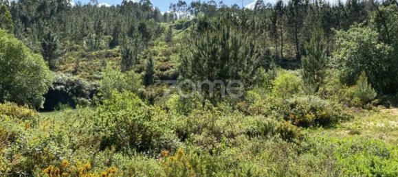  Land in Caxarias, Portugal No. 148838 3