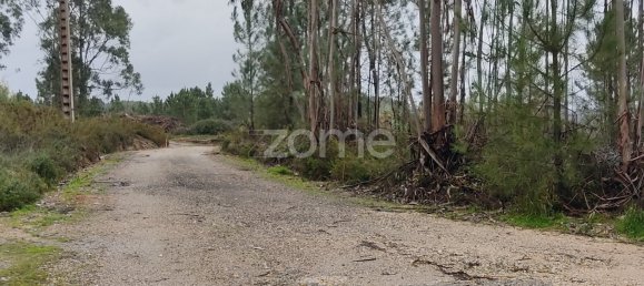  Land in Caxarias, Portugal No. 148838 9