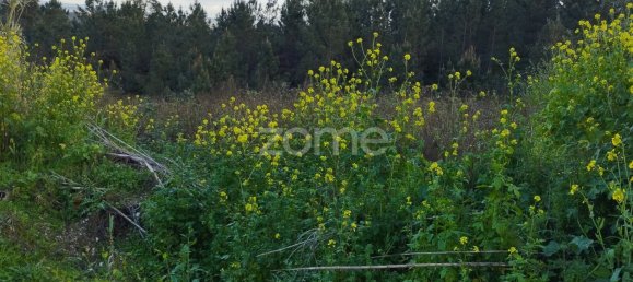  Land in Caxarias, Portugal No. 148838 19