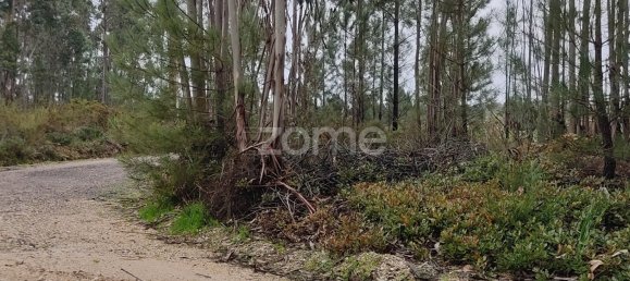  Land in Caxarias, Portugal No. 148838 11